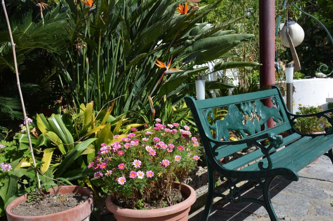 B&B Lodge Dell'Ospite Ischia Casamicciola Terme ภายนอก รูปภาพ