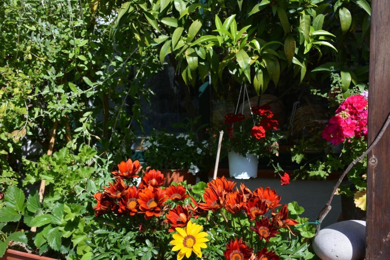 B&B Lodge Dell'Ospite Ischia Casamicciola Terme ภายนอก รูปภาพ