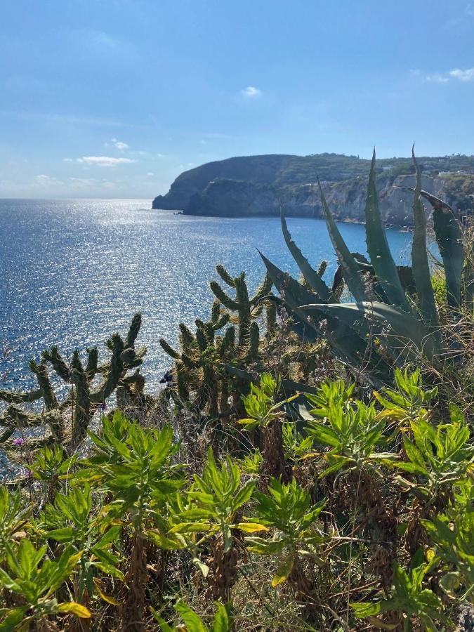 B&B Lodge Dell'Ospite Ischia Casamicciola Terme ภายนอก รูปภาพ