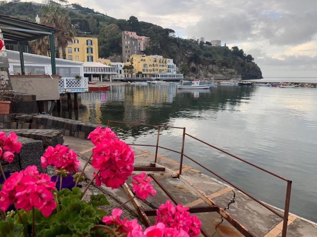 B&B Lodge Dell'Ospite Ischia Casamicciola Terme ภายนอก รูปภาพ