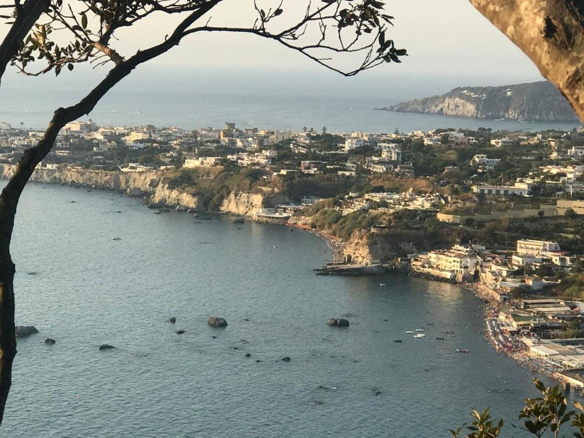 B&B Lodge Dell'Ospite Ischia Casamicciola Terme ภายนอก รูปภาพ
