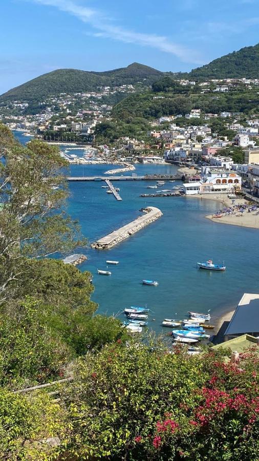 B&B Lodge Dell'Ospite Ischia Casamicciola Terme ภายนอก รูปภาพ