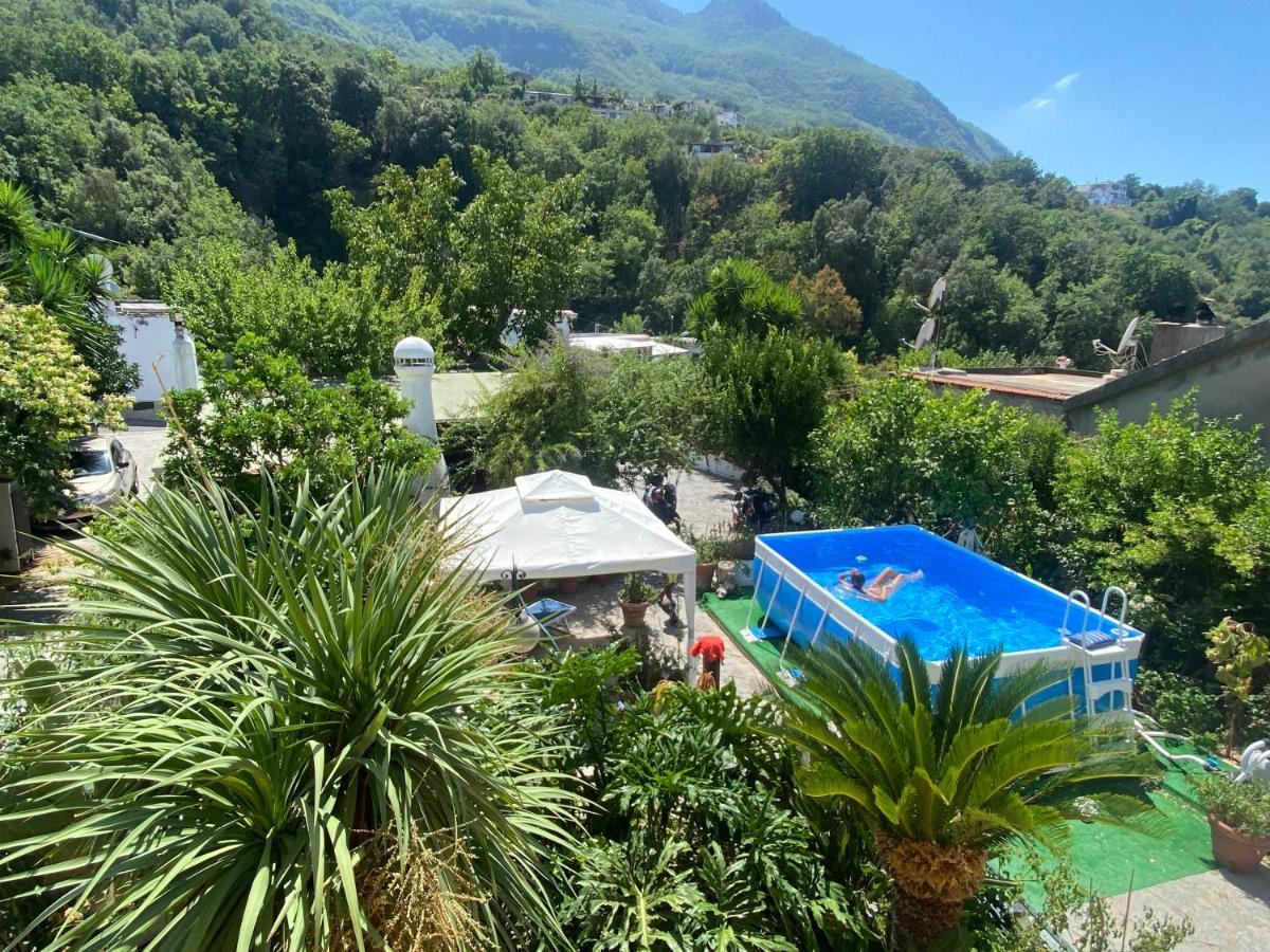 B&B Lodge Dell'Ospite Ischia Casamicciola Terme ภายนอก รูปภาพ