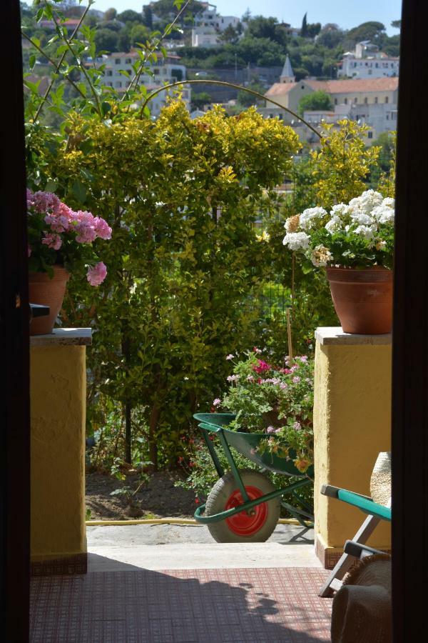 B&B Lodge Dell'Ospite Ischia Casamicciola Terme ภายนอก รูปภาพ